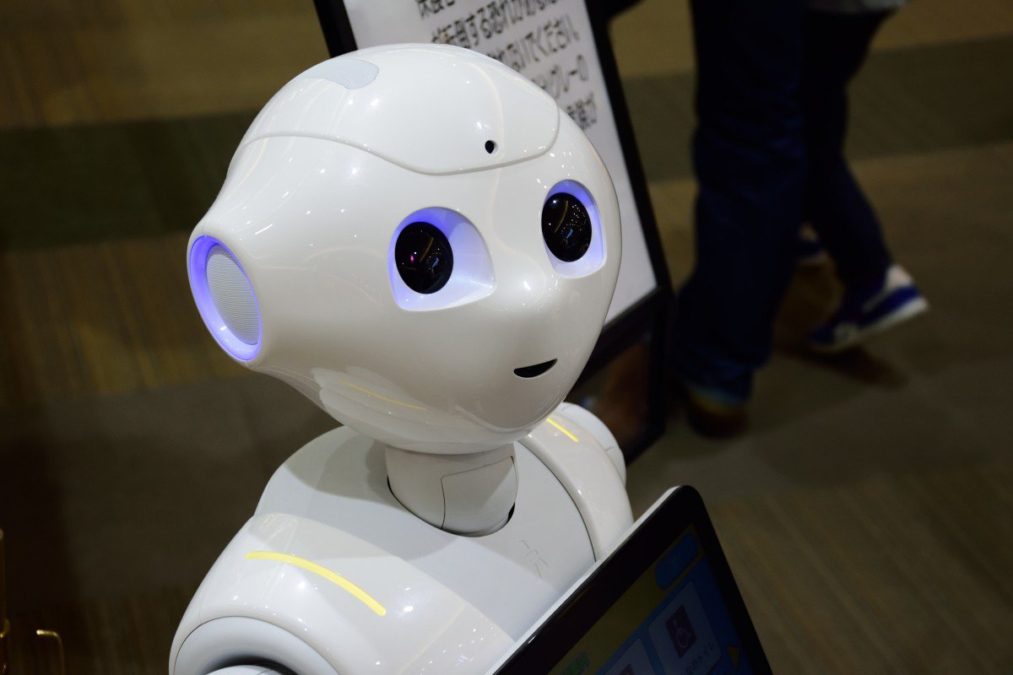 Artificial Intelligence and Stupidity: can robots be smart?