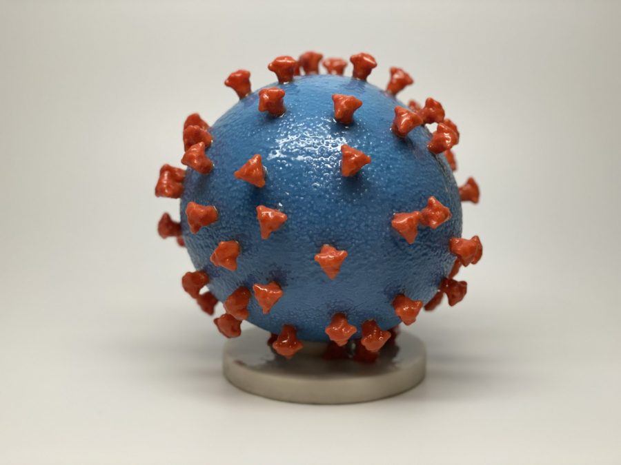 Coronavirus: a puzzle game to help in finding a cure