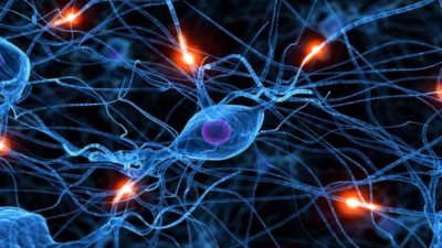 neural networks