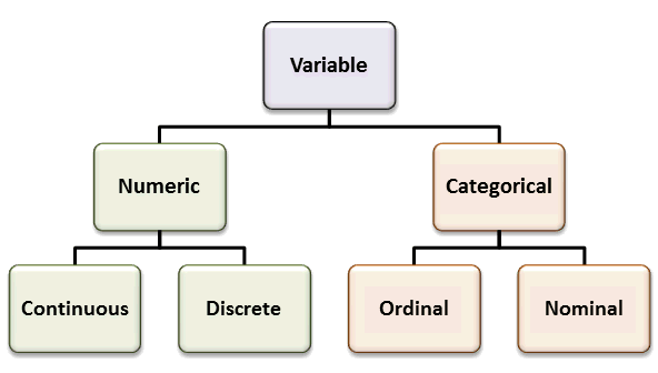 Data Visualization: Types of Variables