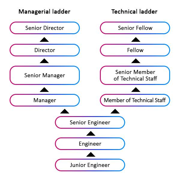 career ladder microservices