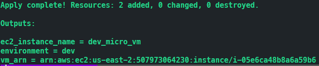 terraform aws output