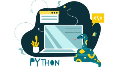 Python, data science libraries.