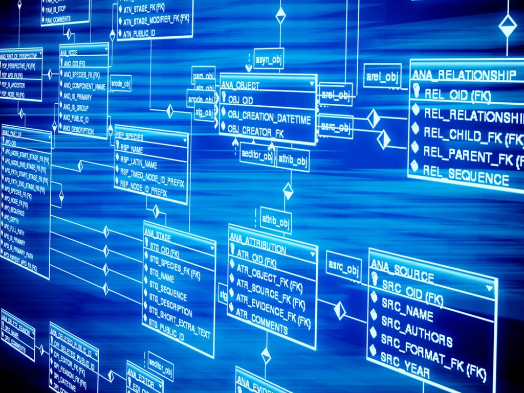 database table, SQL commands.