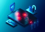 API security, equifax