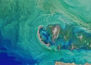 google earth engine