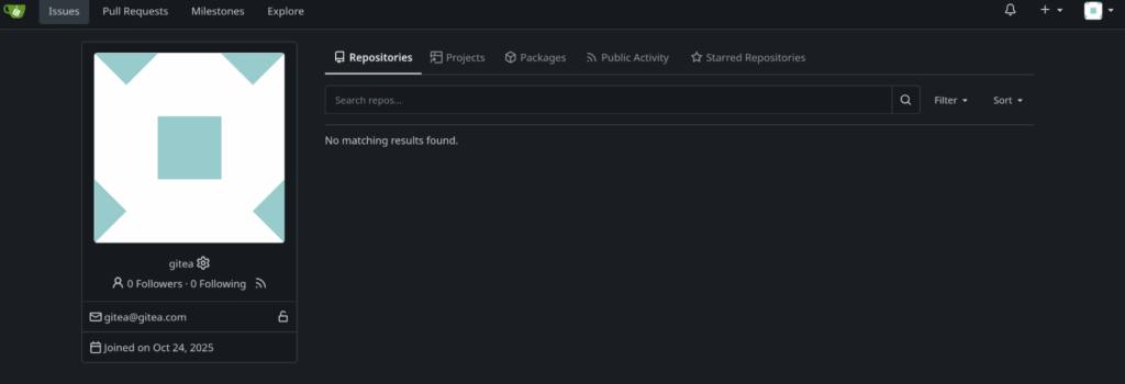Screenshot from a Gitea dashboard for a new user. It shows a generic profile picture with geometric forms and several menus to display project-level information